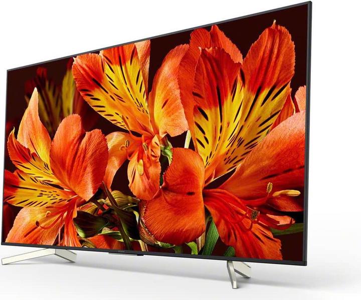 Immagine prodotto Sony Kd-55xf8505 (55", LCD, 4K, 2018)