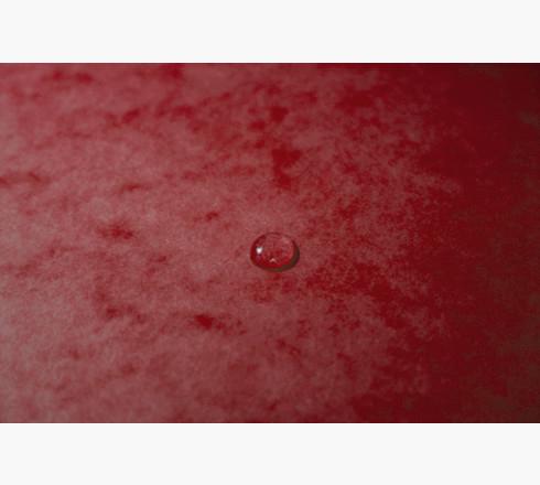 Immagine prodotto Exacompta Cartella ad angolo 'Colorspan (A4, 1 x)