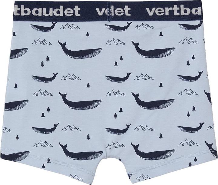 Immagine prodotto Vertbaudet Slip Intimo (158, 164, Confezione da 5 pezzi)