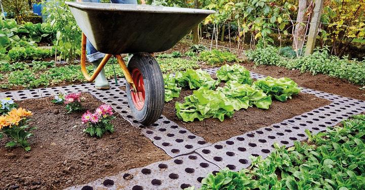 Produktbild Garantia Maxi-Beetplatte