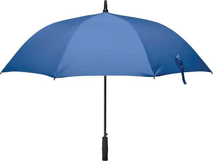 Bleu roi