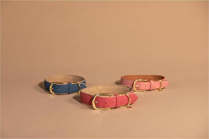 Produktbild Kentucky Dogwear Hunde Halsband Soft Vegan Leather (XS, Hund, Allgemein)