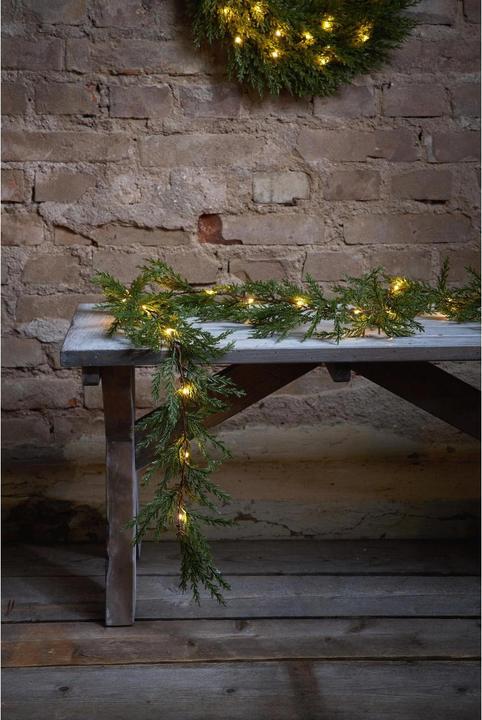 Image du produit Star Trading Thuja