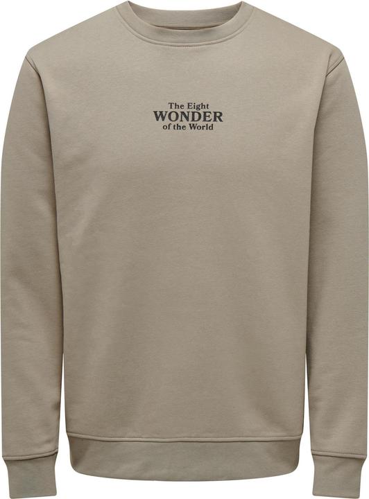 Only & Sons ONSCELEBRITY REG CREW NECK SWT Sweatshirt - 562138