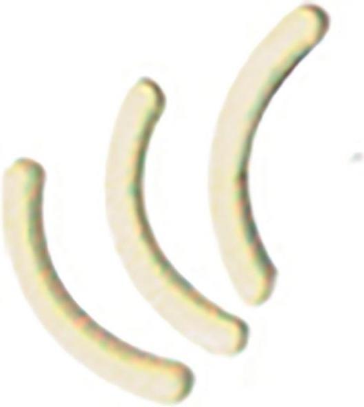 Actual product image Herba Replacement elastics for eyelash curlers (Eyelashes applicator)