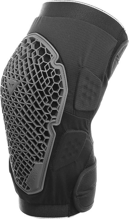 Actual product image Dainese Pro Armor Knee Guard (L, Knee pad, Unique specimen)