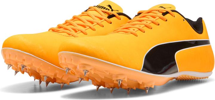 Produktbild Puma evoSPEED Sprint 14.5 (42)