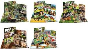 Produktbild HERMA Sammelmappe A3 Motiv (A3, 1 x)