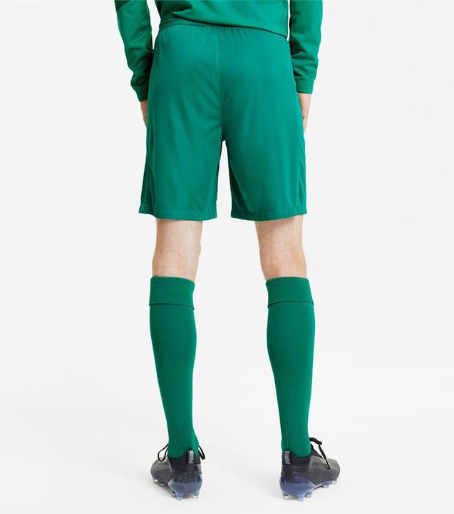 Actual product image Puma teamFINAL 21 knit shorts-704257 (S)