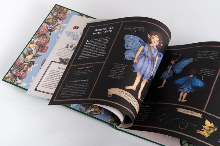 Actual product image Das grosse Handbuch der Elfen (German, Emily Hawkins, Jessica Roux, 2020)
