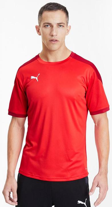 Produktbild Puma teamFINAL 21 Training Jersey-656481 (XL)