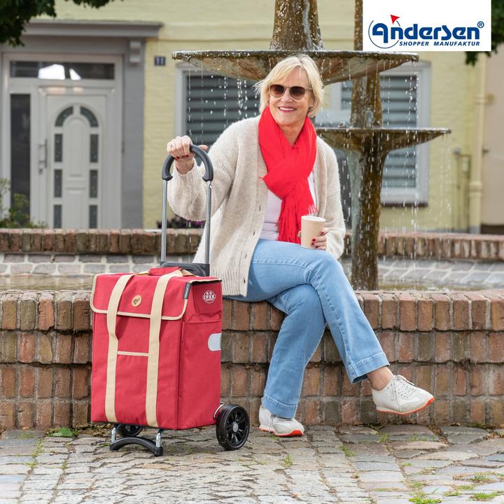 Immagine prodotto Andersen Carrello spesa Scala Ipek Mi Thermo