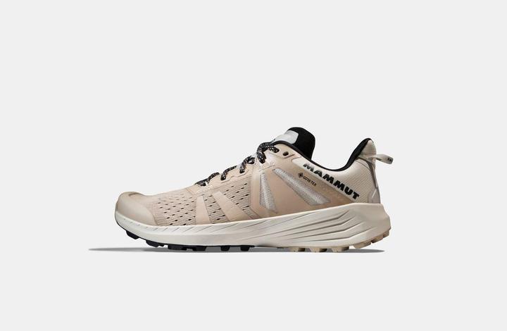 Immagine prodotto Mammut Saentis TR Low GTX Donna (40)
