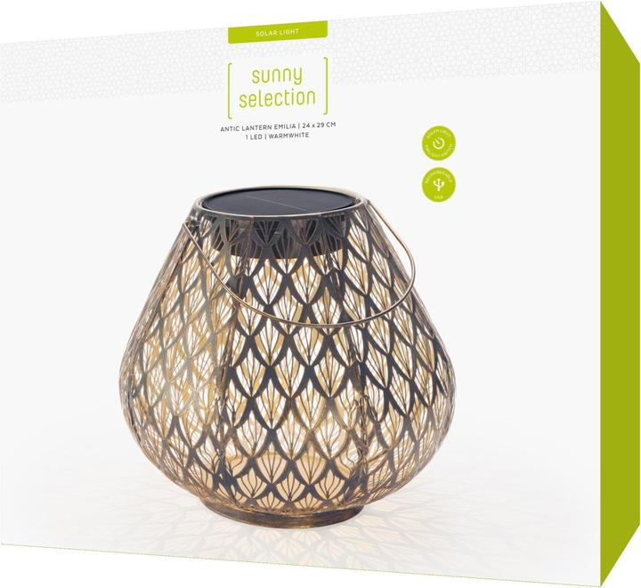 Image du produit STT Emilia