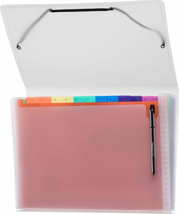 Kolma Fächermappe Easy A4 medium 12 Tabs rainbow (A4, 1 x)
