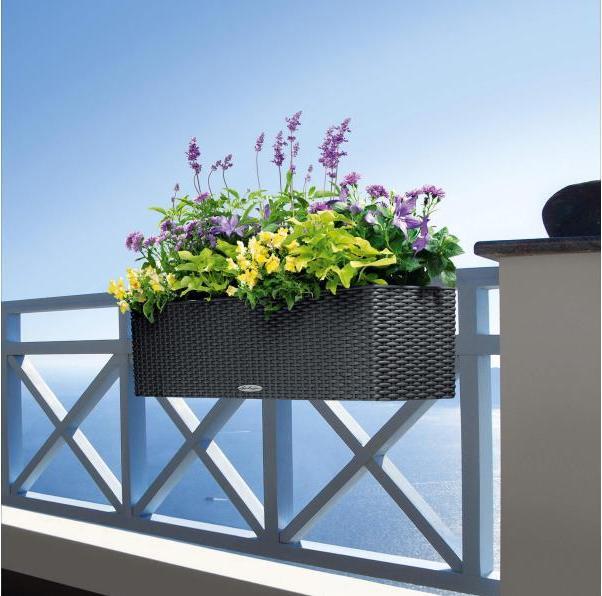 Produktbild Lechuza Balconera Cottage (19 cm)