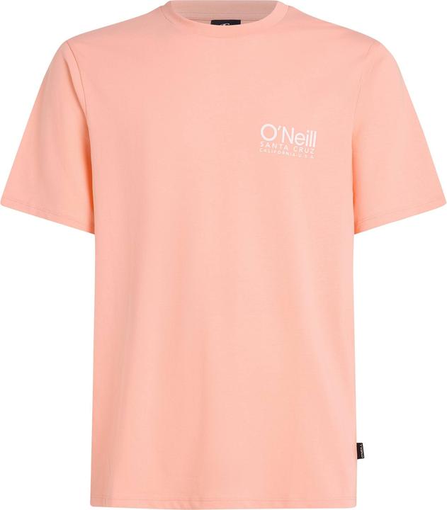Actual product image O'Neill Original Cali Logo T-Shirt (XXL)