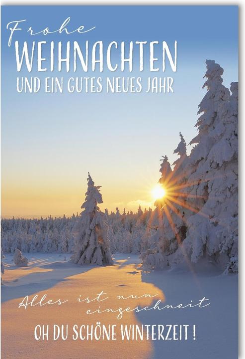 Produktbild Braun + Company Weihnachtskarte Winterlandschaft 11.5 x 17 cm, mit Couvert (1 Stk.)