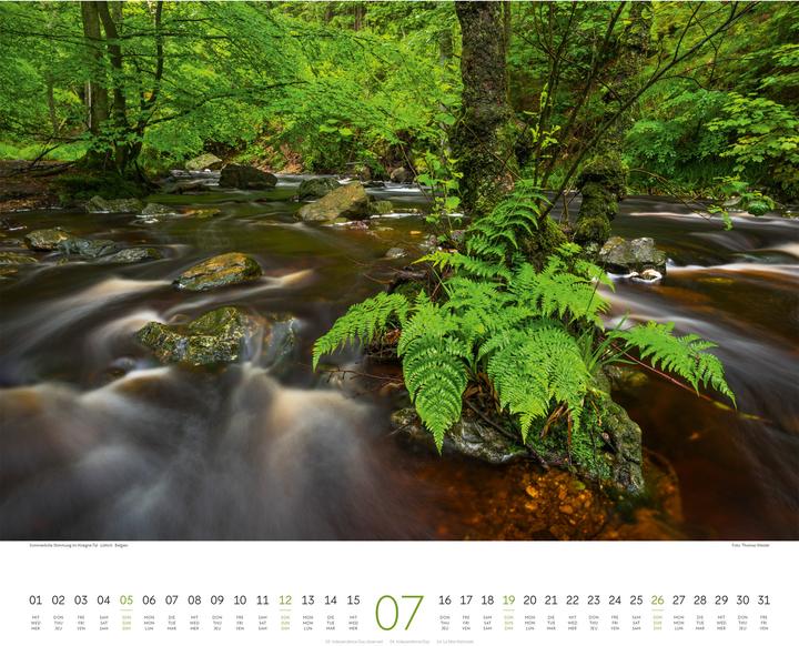 Immagine prodotto Wald Kalender 2026 (54 x 48 cm, Copertina rigida, Tedesco, Francese, Inglese)