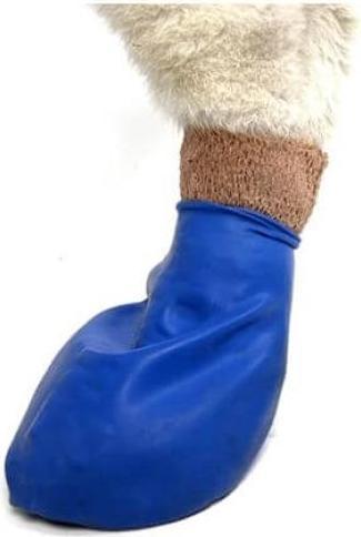 Image du produit Pawz Protection des pattes (XL, Chaussures pour chien)