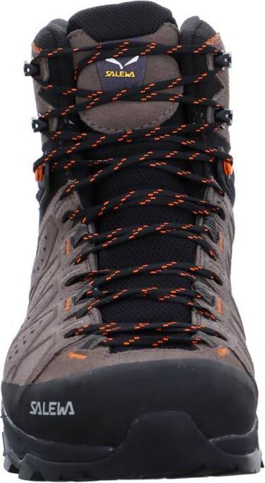 Image du produit Salewa Chaussures Alp Trainer 2 Mid GTX (42)
