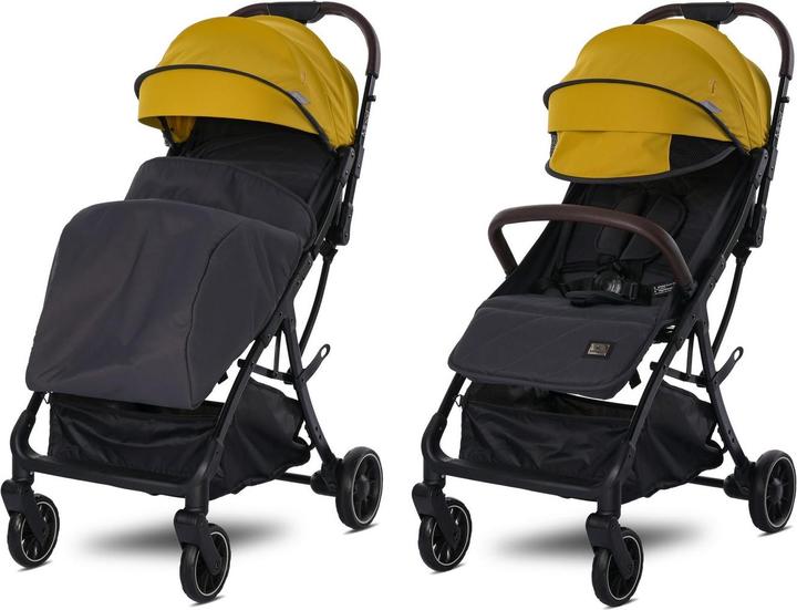 Actual product image Lorelli poussette buggy Minori