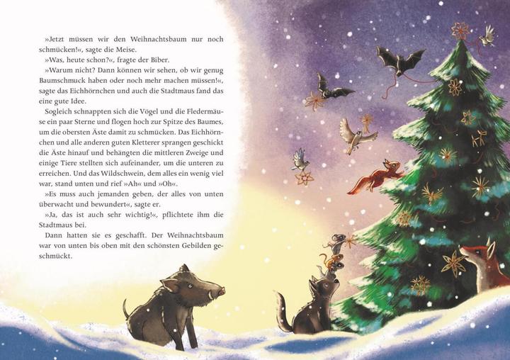 Actual product image Der kleine Siebenschläfer: Ein Lichterwald voller Weihnachtsgeschichten (German, Sabine Bohlmann, Kerstin Schoene, 2021)
