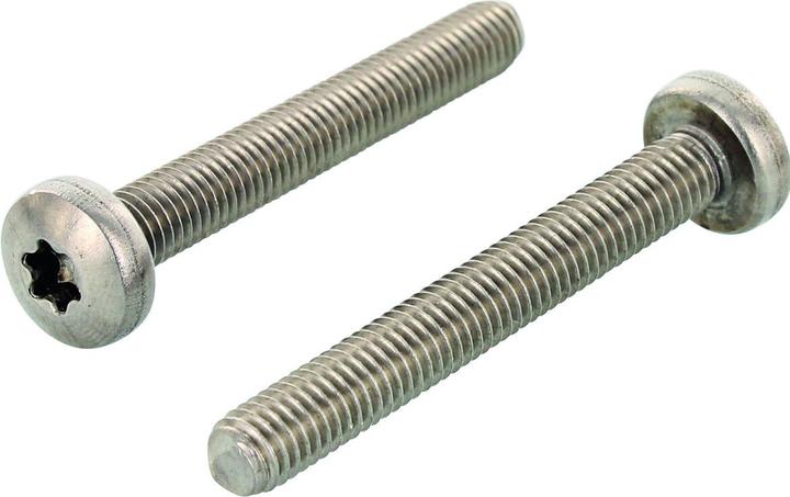Actual product image OK-Line Flachkopfschr. TX30, A2, M6x55 (200 Screws per piece)