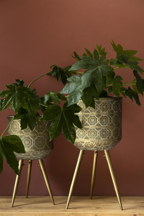 Produktbild Dutchbone Botanique (28.50 cm)