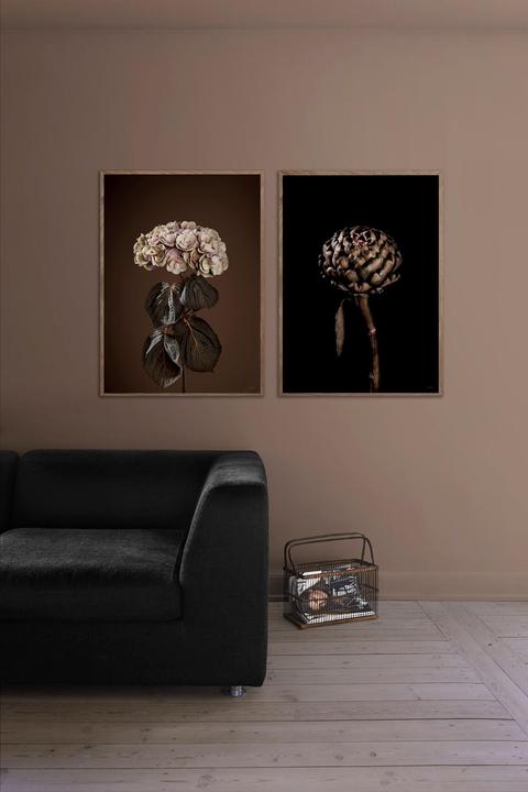 Immagine prodotto ChiCura Cynara Scolymus (70 x 100 cm)