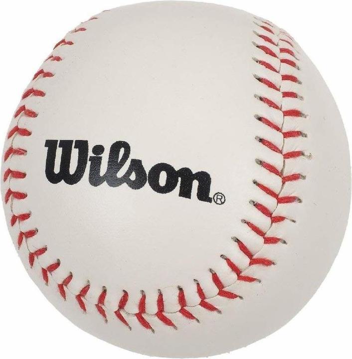 Wilson Tea Ball Kit (24")