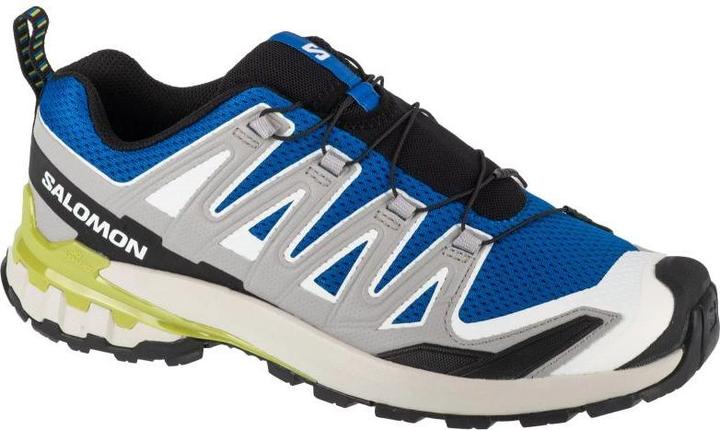 Salomon XA Pro 3D v9 Laufschuhe (40)