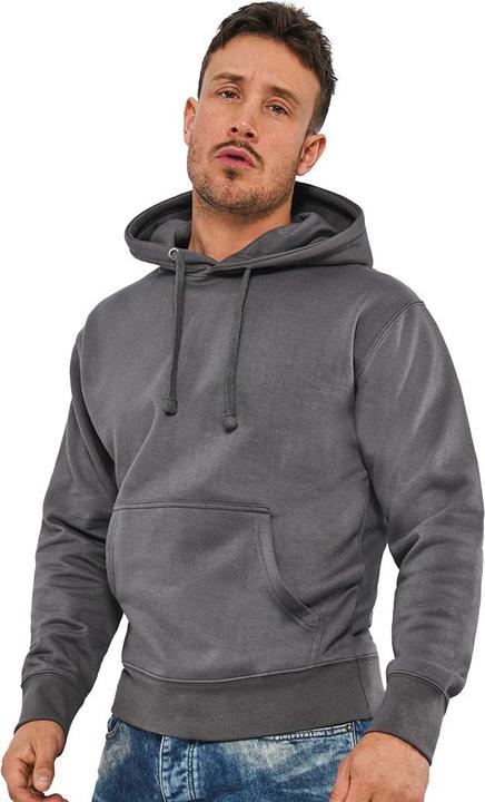 Image du produit Universal Textiles Sweat à capuche (M)