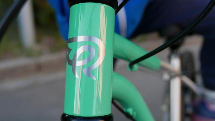 Actual product image Early Rider Hellion Urban (20")