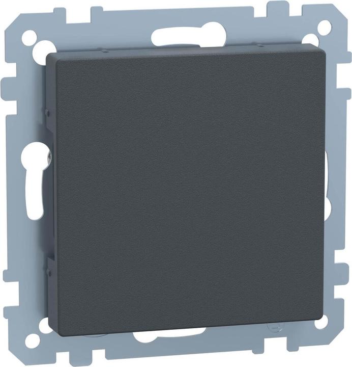 Actual product image Merten Blind cover