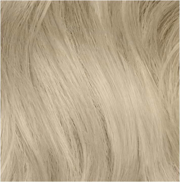 Image du produit Revlon Professional Colorsmetique 1201 Cendré (Blond Intense Naturel Cendré)