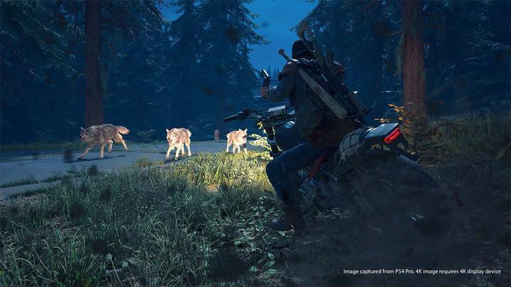 Produktbild Sony Days Gone (PS4, IT, EN)