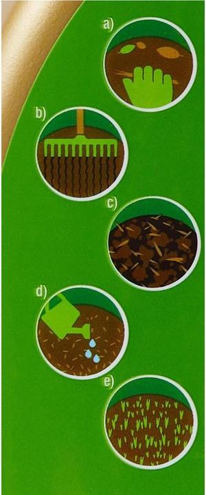 Image du produit Maag Patch Magic (Graines de plantes)