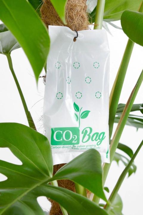 Image du produit CO2 Bag Le cultivateur de sacs