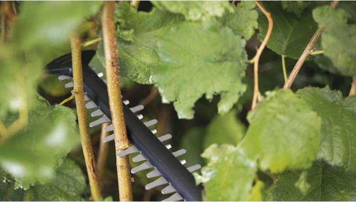 Produktbild Bosch Home & Garden UniversalHedgeCut 18V-50 (Akkubetrieb)
