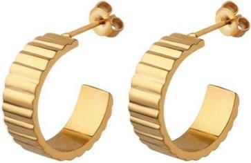 JVD - Timeless gold plated earrings SSSE0115XJ2GO00