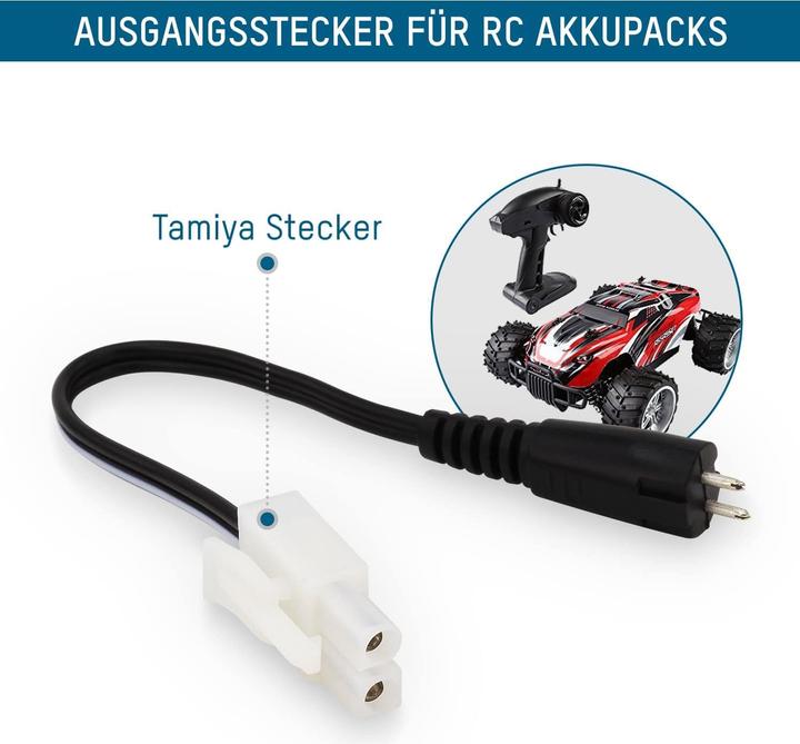Actual product image Ansmann Acs48 (1 pcs., Device specific, Battery + charger)