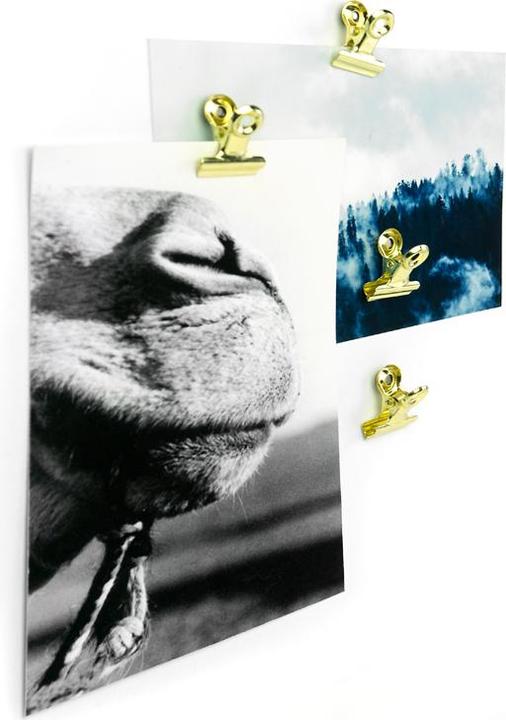 Produktbild Trendform Mini Graffa (4 x)
