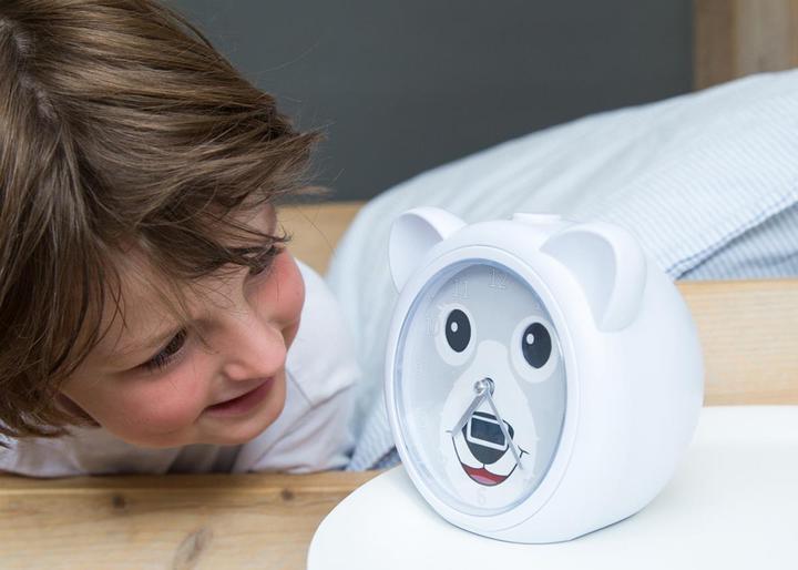 Actual product image ZaZu Bobby