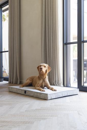 Productafbeelding Designed by Lotte Orthopedisch kooikussen Geribd (Hond)