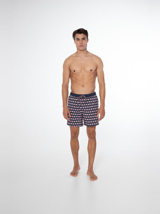 Actual product image MGA Men's shorts protest Prtohlander beach shorts (L)