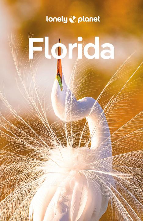 Immagine prodotto Reiseführer Florida (Tedesco, Régis St. Louis, Amy Bizzarri, Adam Karlin, David Gibb, Jennifer M Edwards, Terry Ward, 2024)