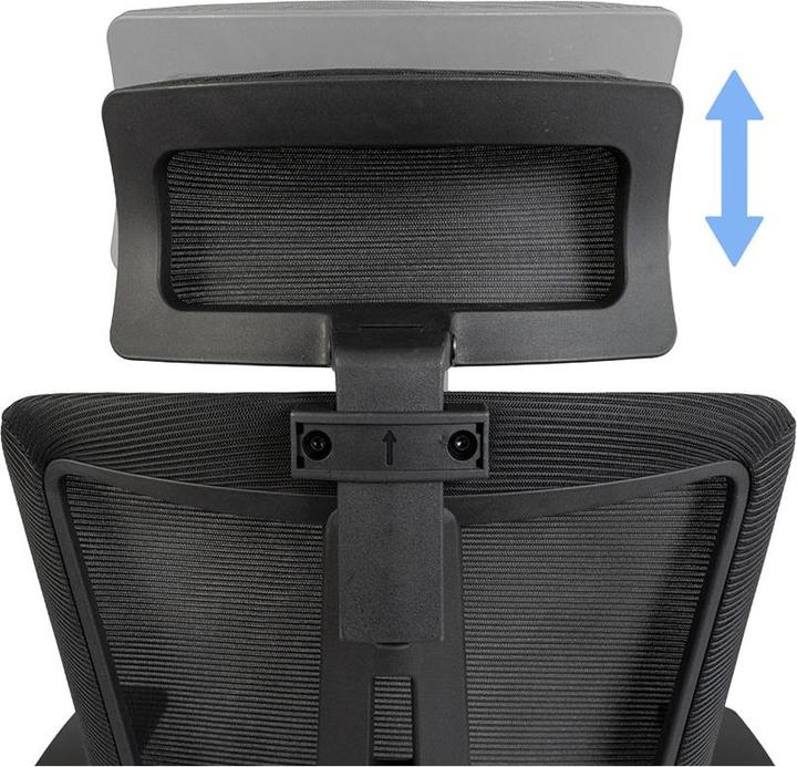Actual product image Contini ErgoFlex