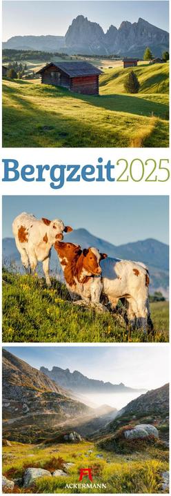 Produktbild Bergzeit Triplet-Kalender 2025 (24 x 66 cm, Deutsch)