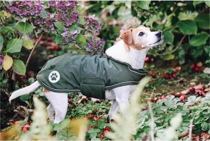 Produktbild Kentucky Dogwear Hundemantel wasserdicht 300g (XS, Hundemantel)